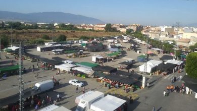 Photo of El mercado semanal se traslada al aparcamiento del centro de Salud Alcantarilla-Casco durante las dos semanas de Fiestas