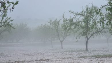 Photo of Las lluvias se vuelven tormentas: alerta amarilla en Alcantarilla para hoy y mañana
