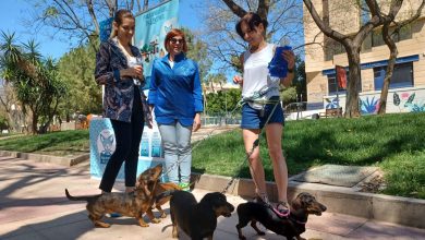 Photo of Murcia reparte cinco mil botellas para diluir el pis de los perros en la vía pública