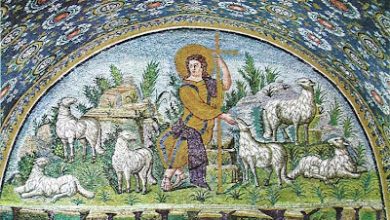 Photo of Reflexión dominical. El Resucitado, Pastor espléndido