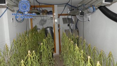 Photo of La cocaína rosa llega a Alcantarilla: desmantelan un laboratorio en un piso