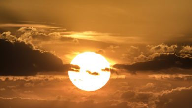 Photo of Alerta amarilla este miércoles en Alcantarilla por hasta 40 grados de temperatura