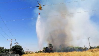 Photo of Bomberos y un helicóptero logran apagar un gran incendio de matorrales en Guadalupe