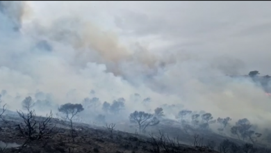 Photo of La oleada de incendios llega a la Región: arden 180 hectáreas en Jumilla
