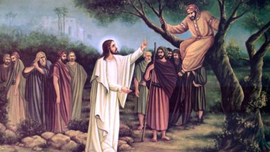 Photo of Reflexión dominical. Escuchar el clamor de los pobres