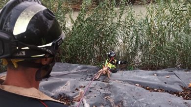 Photo of Operación de los bomberos para rescatar a un perro del río