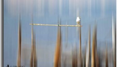 Photo of Alcantarilla ha vivido un octubre tropical con las temperaturas más altas de toda la Región