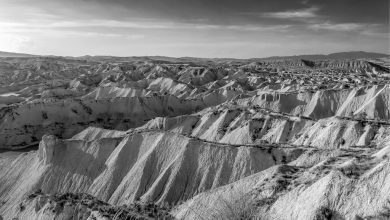 Photo of Reflexión dominical. El Mesías y el Espíritu del Reino