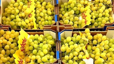 Photo of Los otorrinolaringólogos advierten que los menores de 5 años no deben comer uvas en Nochevieja