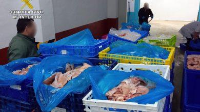 Photo of Intervienen y destruyen seis toneladas de carne almacenada en malas condiciones
