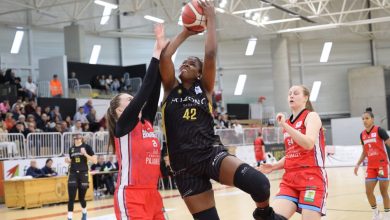 Photo of Hozono Global Jairis cae en la cancha del Bembibre (79-68)