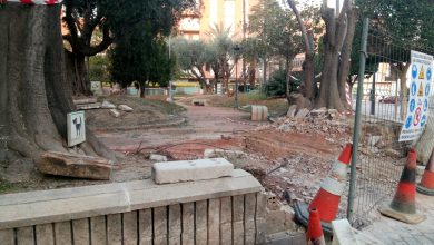 Photo of Comienza la renovación integral del jardín de la plaza de España