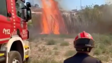 Photo of Incendios de matorral y cañas en Sangonera, Javalí Nuevo y La Raya en menos de 24 horas