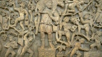 Photo of Reflexión dominical. El Resucitado, espléndido buen Pastor