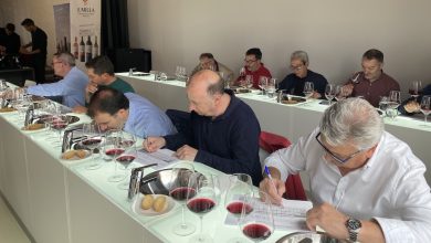 Photo of Los vinos de Jumilla de la añada 2022 consiguen la calificación de excelente