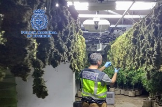 Photo of La Policía Nacional desmantela tres plantaciones de marihuana en Alcantarilla en un mes