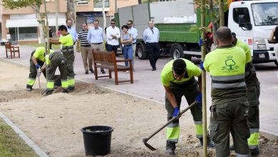 Photo of Murcia plantará 50.000 nuevos árboles para reducir la contaminación y el calor