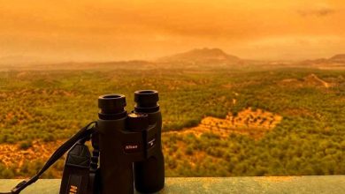Photo of Salud recomienda a las personas vulnerables usar mascarilla por la calima por aire africano
