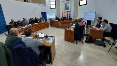 Photo of El Ayuntamiento regulará el uso de patinetes en Alcantarilla