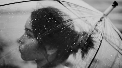Photo of La Aemet pronostica lluvia esta tarde de martes tras un diciembre muy cálido