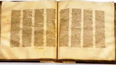 Photo of Reflexión dominical. La fiesta de la Palabra