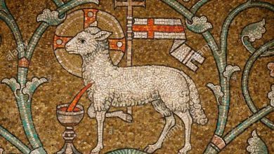 Photo of Reflexión dominical. Jesús, Cordero de Dios