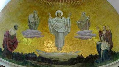 Photo of Reflexión dominical. La transfiguración en el camino de Pascua