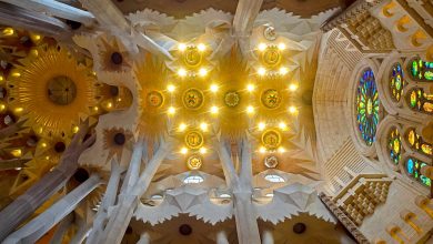 Photo of Reflexión dominical. El verdadero templo de Dios