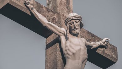 Photo of Reflexión dominical. Testigos de Cristo Resucitado