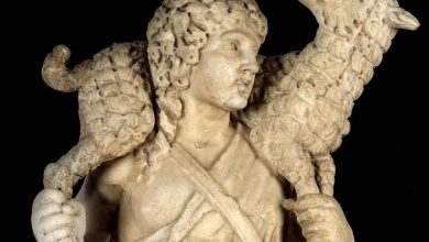 Photo of Reflexión Dominical. Bondad y Hermosura del Pastor Espléndido