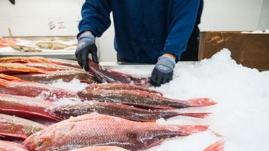 Photo of Ofertas de empleo en Alcantarilla