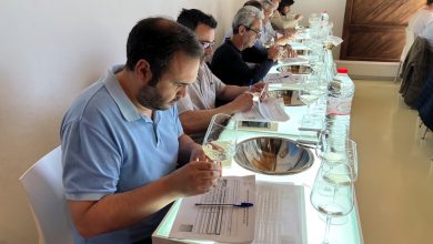 Photo of La añada 2023 de los vinos de Jumilla obtiene la calificación de “muy buena”