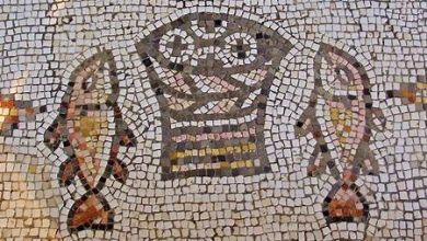 Photo of Reflexión dominical. Necesitamos Pastores y Maestros