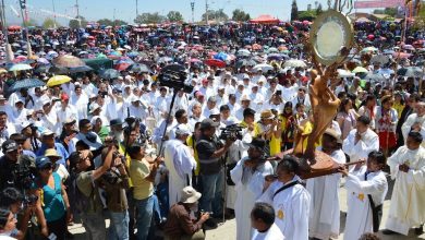 Photo of Reflexión dominical. La comunión del Pan de vida