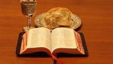 Photo of Reflexión dominical. El pan de vida del Evangelio y la Eucaristía