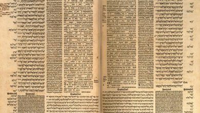 Photo of Reflexión dominical. Dios nos engendró con la Palabra de la verdad