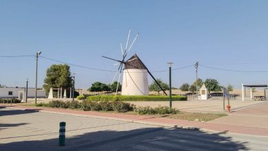 Photo of Cultura inicia trámites para proteger el entorno de los 224 molinos de viento de la Región