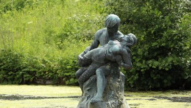 Photo of Las infecciones de transmisión sexual (ITS) siguen creciendo en España