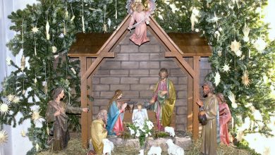 Photo of Reflexión dominical. La alegría por la cercanía del Señor