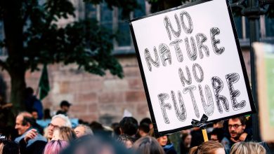 Photo of Primero sobrevivir (3): La colaboración, camino a la salvación