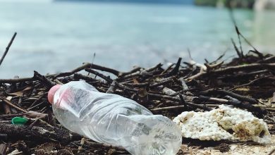 Photo of Primero sobrevivir (1): La catástrofe ambiental