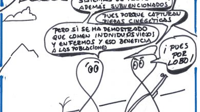 Photo of Viñeta. Los fantasmas del Quin. El lobo