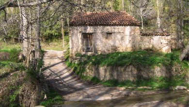 Photo of Primero sobrevivir (21). Poblamiento y vida rural