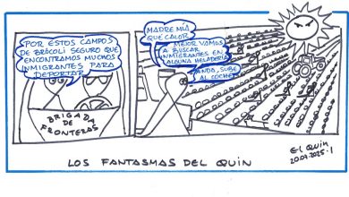 Photo of Viñeta. Los Fantasmas del Quin. Brócoli