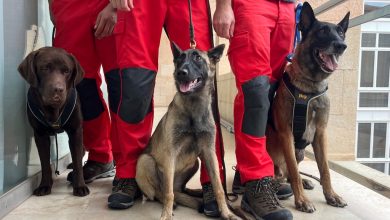 Photo of Bomberos de Murcia ponen en marcha una unidad canina para localización y rescate