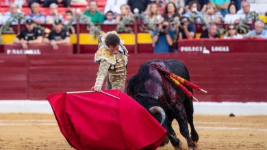 Photo of El novillero José María Trigueros recibe el alta tres meses después de su cogida en Alcantarilla