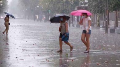 Photo of Alcantarilla registró en julio la temperatura máxima absoluta de toda la Región: 43 grados