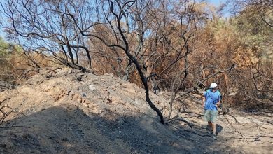Photo of Ecologistas exigen mano dura ante los reiterados incendios en la Marina de Cope