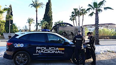 Photo of Detenidos dos ladrones que reventaron la puerta de un edificio en Alcantarilla