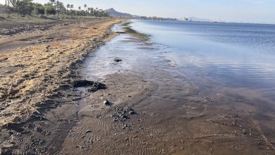 Photo of Siglos de minería han convertido el Mar Menor en un depósito de metales tóxicos 